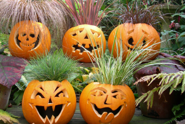 Be Green With Your Jack O' Lanterns - The Recycle Guide - A Resource ...